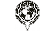 CIC