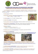 CARTEL CURSO BASICO DE ORGANIZACION Y SEGURIDAD EN BATI 2015